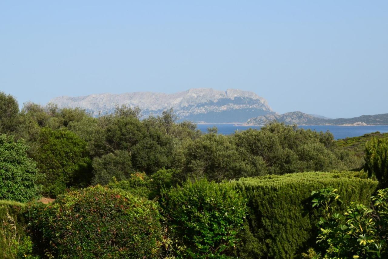 Ferienwohnung Sa Domitta Di Suiles Olbia Exterior foto