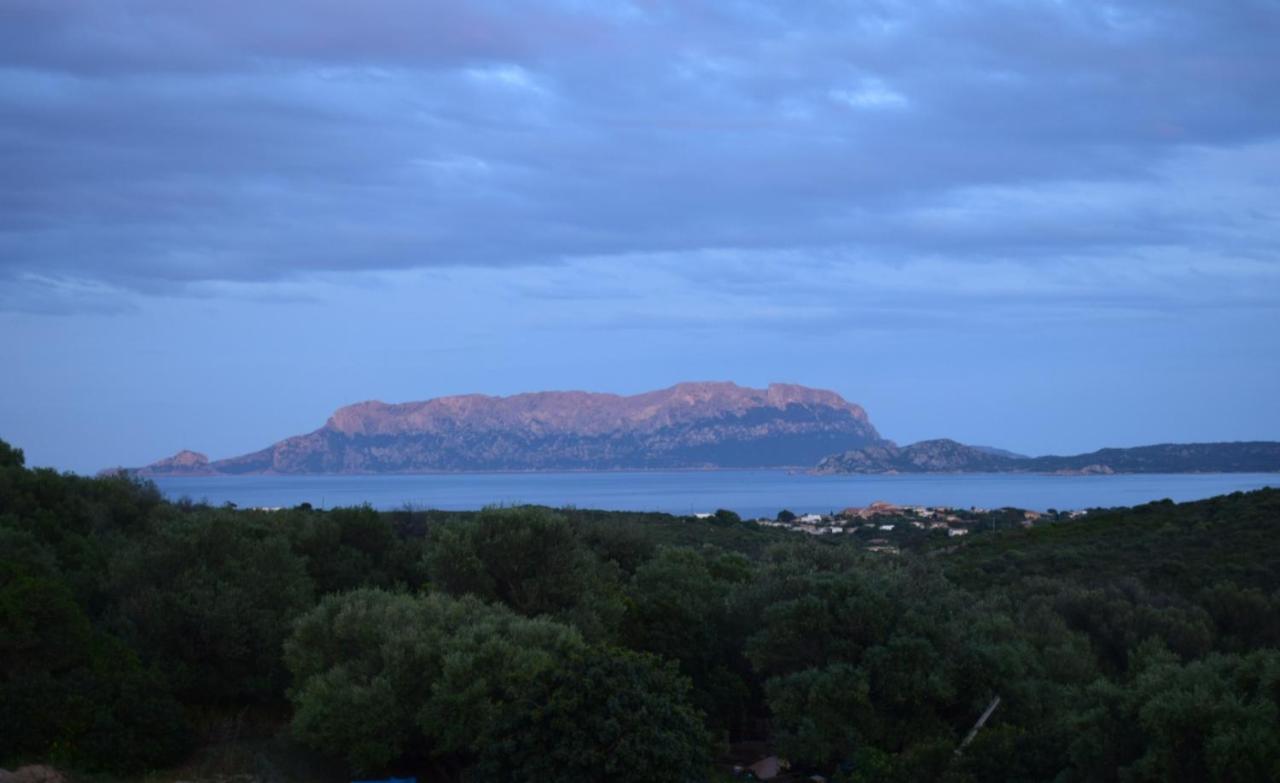 Ferienwohnung Sa Domitta Di Suiles Olbia Exterior foto